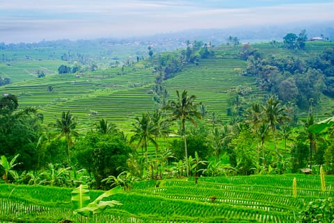 India e Indonesia – foto 63