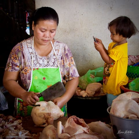 India e Indonesia – foto 73