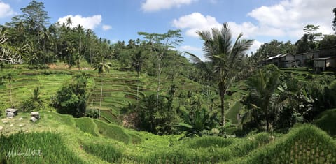 India e Indonesia – foto 78