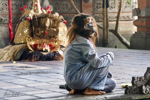 India e Indonesia – foto 82