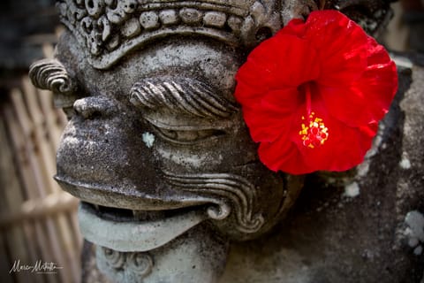 India e Indonesia – foto 86