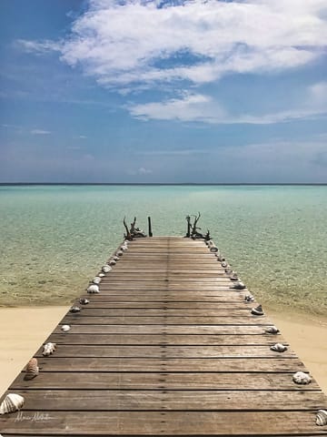 India e Indonesia – foto 89