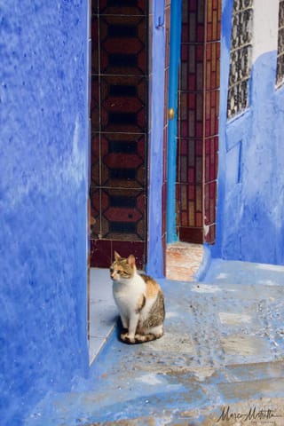 Marocco – foto 13