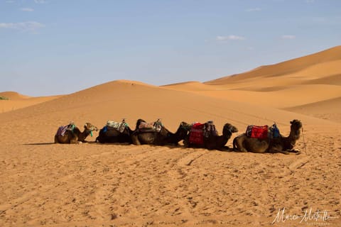 Marocco – foto 32