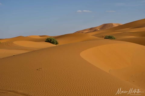 Marocco – foto 33