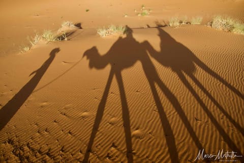 Marocco – foto 35
