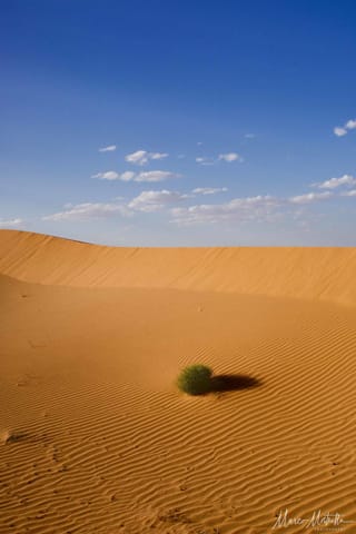 Marocco – foto 36