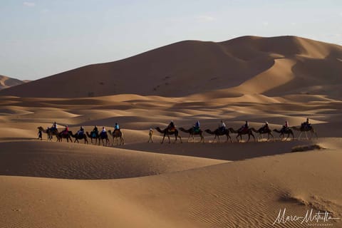 Marocco – foto 37