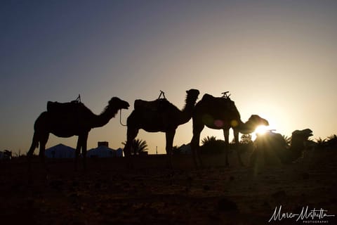 Marocco – foto 38