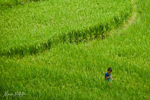 Vietnam e Cambogia – foto 16
