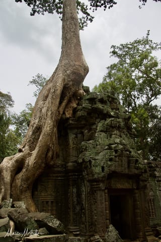 Vietnam e Cambogia – foto 68