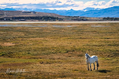 Argentina · Patagonia – foto 12