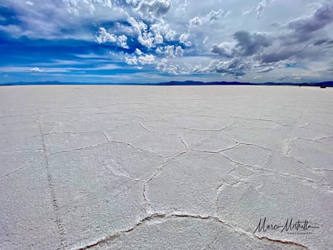 Argentina · Patagonia – foto 27