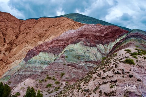 Argentina · Patagonia – foto 36