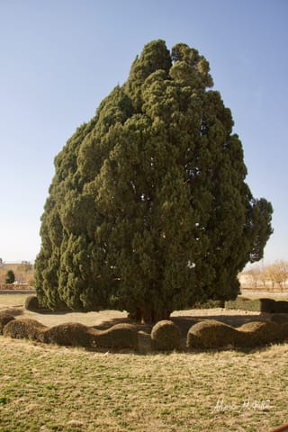 Iran – foto 32