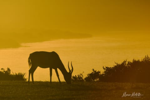 Sudafrica – foto 13