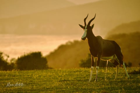 Sudafrica – foto 14