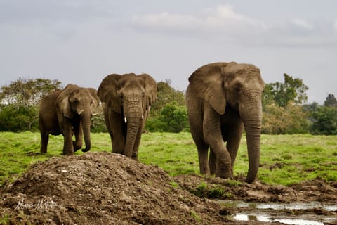 Sudafrica – foto 18