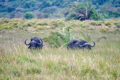Sudafrica – foto 23