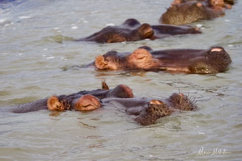 Sudafrica – foto 29