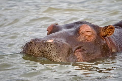 Sudafrica – foto 30