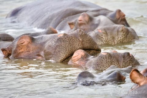Sudafrica – foto 31