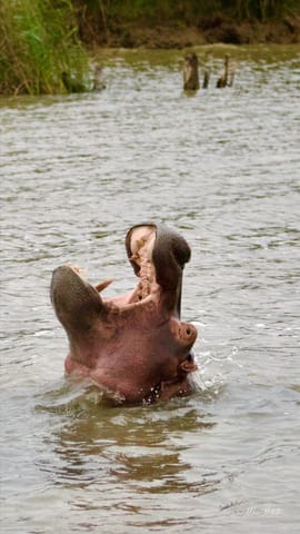 Sudafrica – foto 32