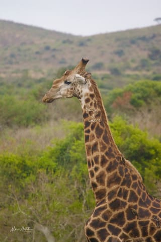 Sudafrica – foto 35
