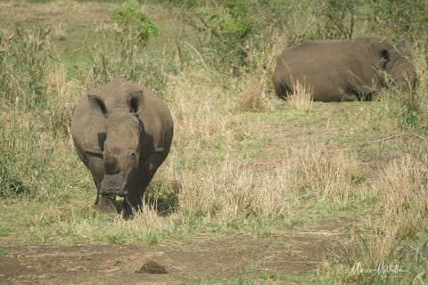 Sudafrica – foto 36