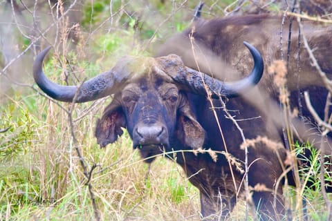 Sudafrica – foto 37