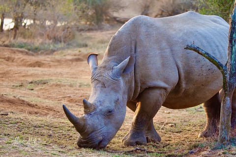 Sudafrica – foto 38