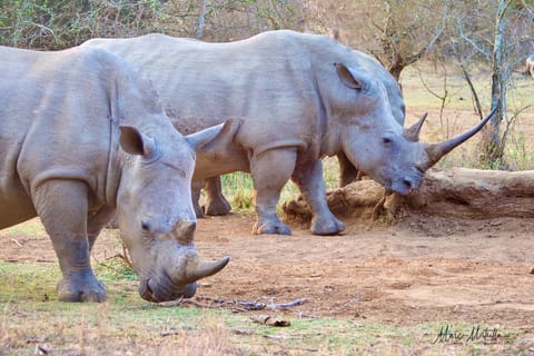 Sudafrica – foto 39