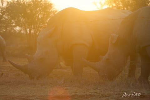 Sudafrica – foto 40