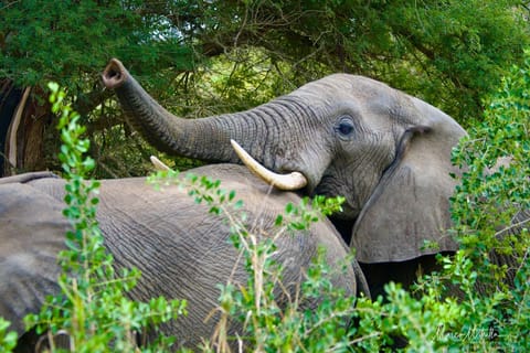 Sudafrica – foto 43