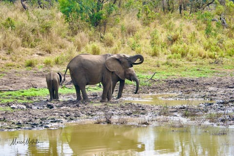 Sudafrica – foto 44