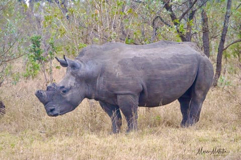 Sudafrica – foto 46