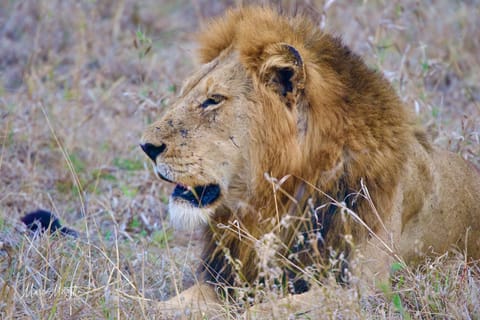 Sudafrica – foto 50