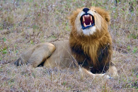 Sudafrica – foto 52