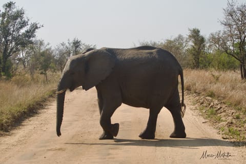 Sudafrica – foto 54