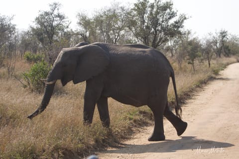 Sudafrica – foto 55