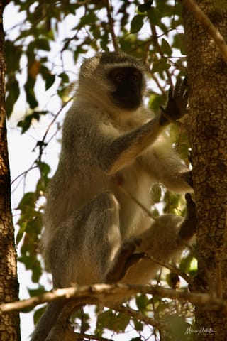 Sudafrica – foto 56