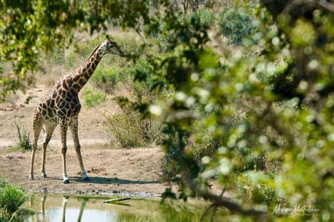 Sudafrica – foto 57