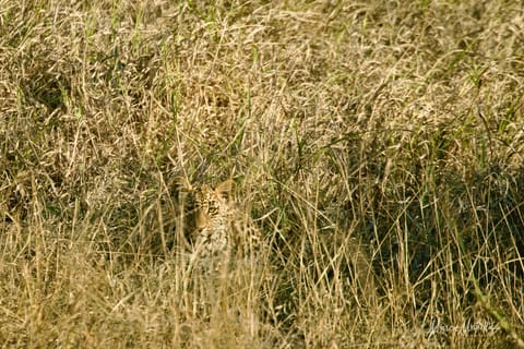 Sudafrica – foto 58