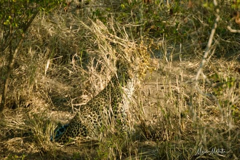 Sudafrica – foto 59