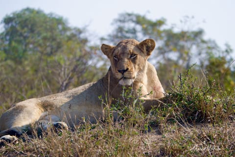 Sudafrica – foto 61