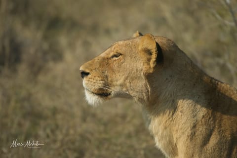 Sudafrica – foto 62