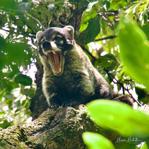 GuateBelize25 – foto 25