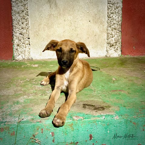 GuateBelize25 – foto 39