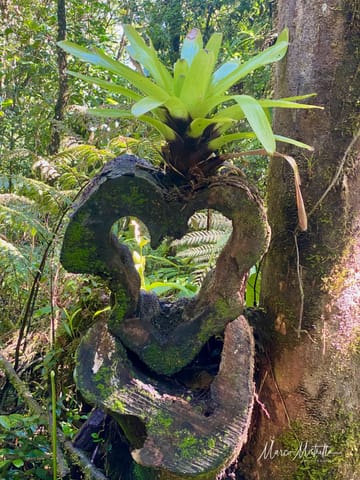 GuateBelize25 – foto 61