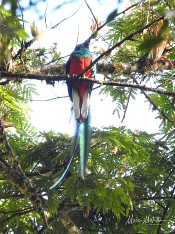 GuateBelize25 – foto 62